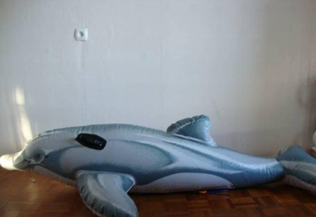 Надувной дельфин Москва