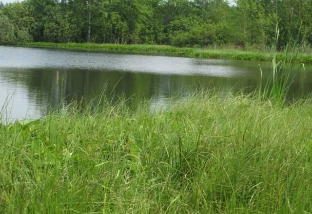 Пятницкое шоссе д. Лопотово.Собственник Москва