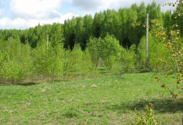 Участок 16 соток Клинский район (Марков Лес) Клин