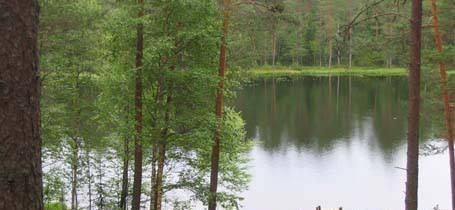 Продам участок 18 соток в выборгском районе Выборг