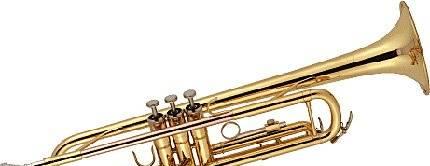 Трубы Alina Pro Москва