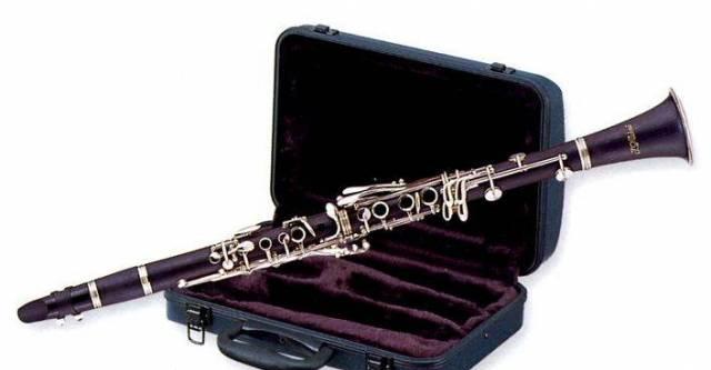 Кларнеты Alina Pro Москва