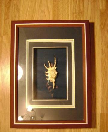 Картина с ракушкой напоминающей скорпиона Москва