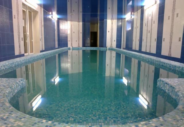 Сауна, большой бассейн, караоке, 2 км от Москвы Москва