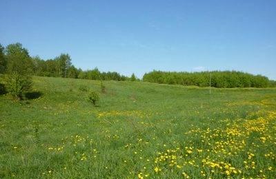 Хороший участок земли Москва