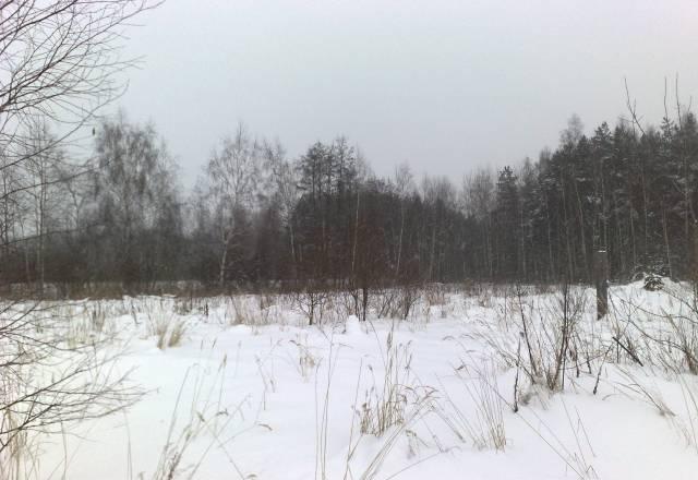 Участок 9 сот,СНТ Фрязево Электросталь