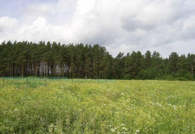 Посёлок Моторное.Приозерский Санкт-Петербург