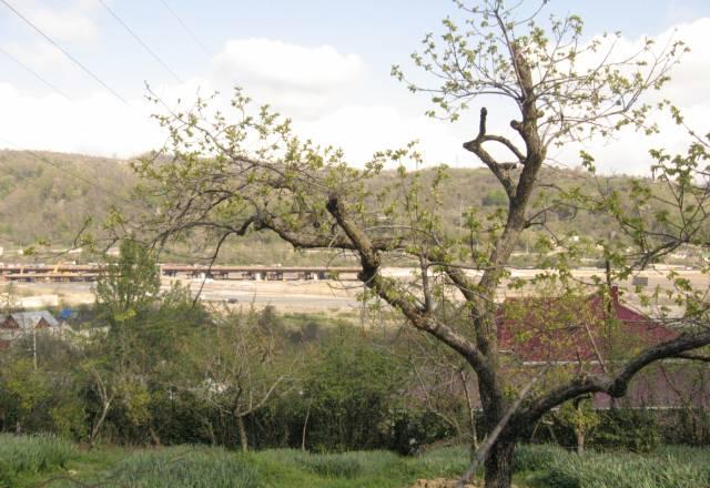 В 20-ти метрах от трассы Адлер - Красная Поляна Сочи