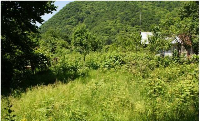 Продам земельный участок в пос. Красная Поляна Сочи