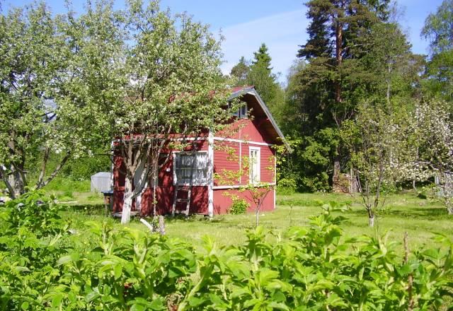 Участок с домом и баней на берегу Ладожского озера Сортавала
