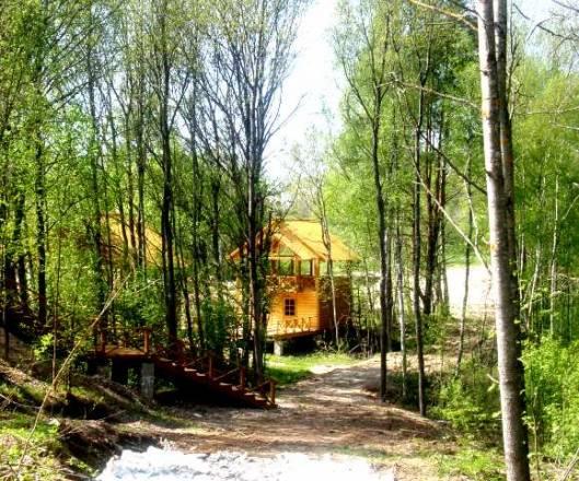 Продам от собственника перспективный участок недор Санкт-Петербург