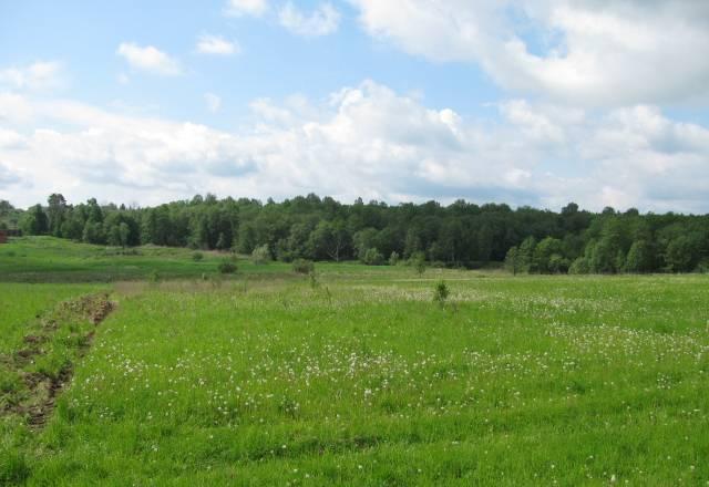 Участок 65 соток, пмж, деревня Новая Хотча Москва