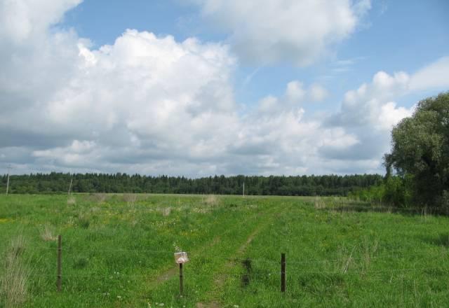 Участок 30 соток, Деревня Новая Хотча, пмж Москва