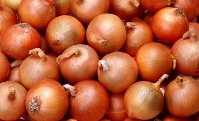 Капуста,картофель,томат,огурцы,лук,перец  и т.п Ростов-на-Дону