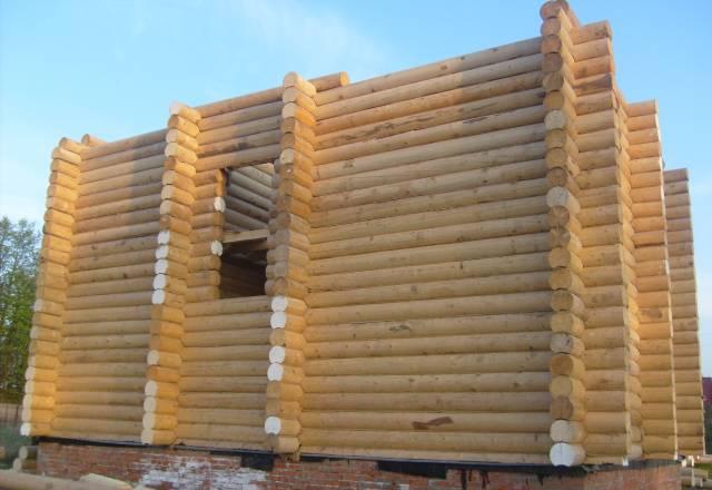 Срубы дома,бани из Вологды с доставкой Москва