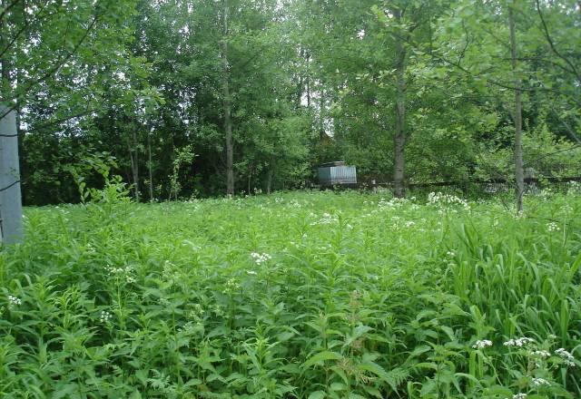 Продам участок 6 соток Москва