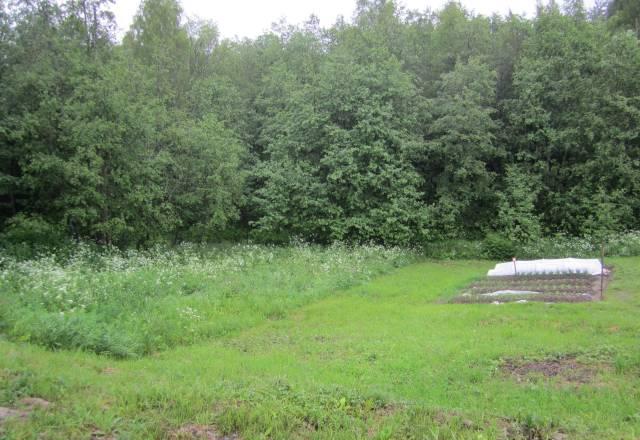 Зем участок в Приозерском р-не п Силино Санкт-Петербург