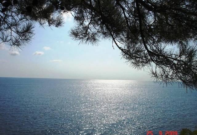 Земельные участки в Сочи, Мирный, 6 сот ижс Сочи