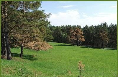 85 км. от МКАД, земельный участок для дачи Тула