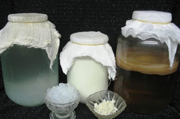 Морской рис Москва