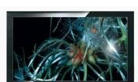 LCD телевзор samsung 40" LE40B530 Москва