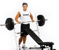 Скамья силовая Body Solid Москва