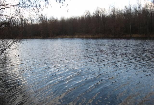 18 га ижс Нижегородской области Павловский Нижний Новгород
