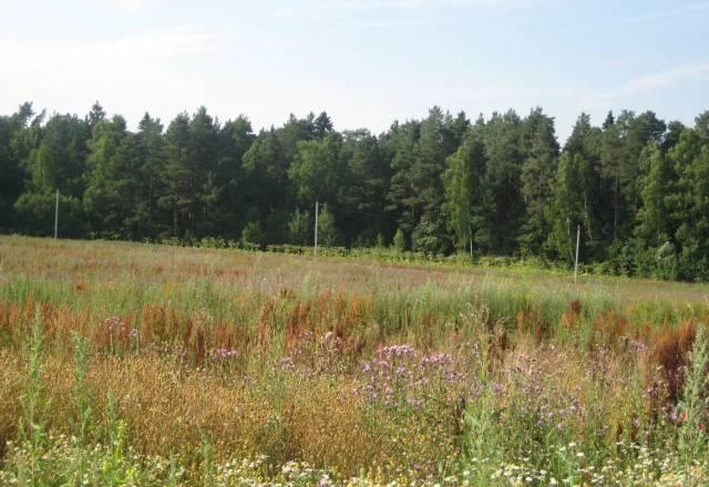 Участок 3.2 га под дачное строительство (58 км) Москва