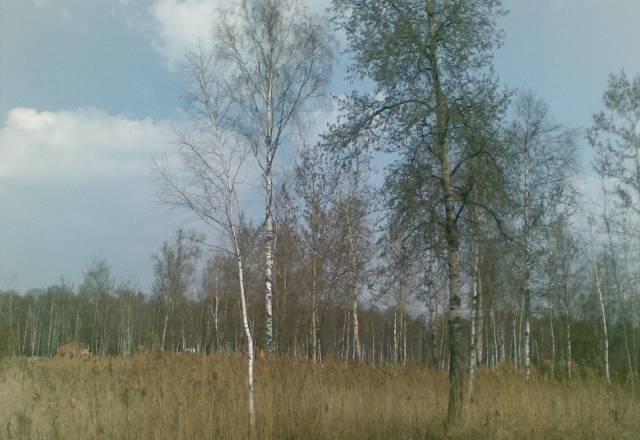 Собственник продает два участка (11+12)23 с Москва