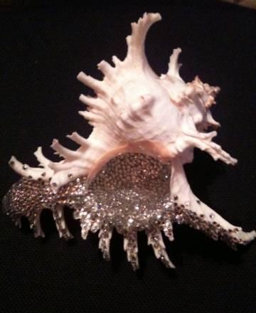 Ракушка,декорированная кристаллами Сваровски Москва