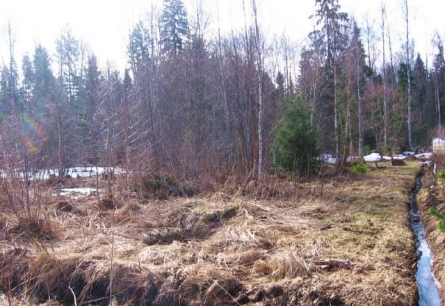 Участок 10 соток в садоводстве (Дивенская) Луга