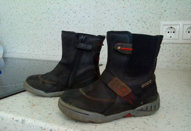 Обувь ecco Санкт-Петербург