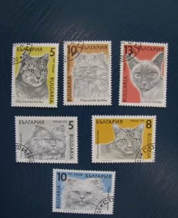Болгария марки 1989 (кошки, гаш.) 6/6 Новосибирск