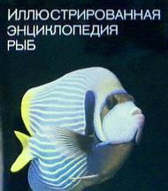 Франк с. Иллюстрированная энциклопедия рыб Москва