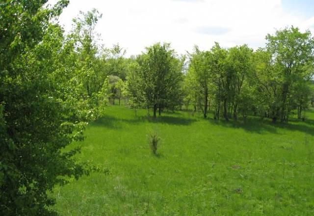 Участок в поселке Сомово, пригород Воронеж Воронеж