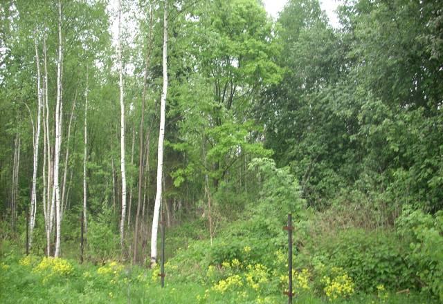Земельный участок в 100 км от МКАД за 800 тыс руб Москва
