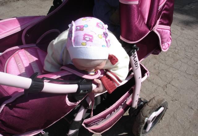 Коляска адамекс Казань