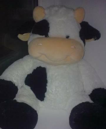 бычок 50см Москва