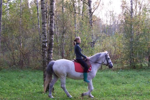 Обучение верховой езде Санкт-Петербург
