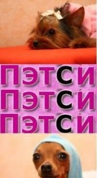 стрижка собак и кошек, одежда для животных, курсы стрижки! Санкт-Петербург