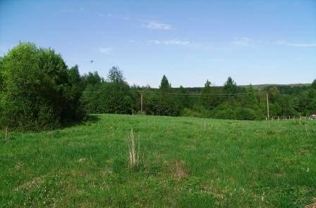 Участок в Волочаевке 20 соток Выборг