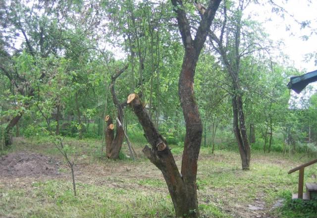 Продажа дачи в чеховском районе Чехов