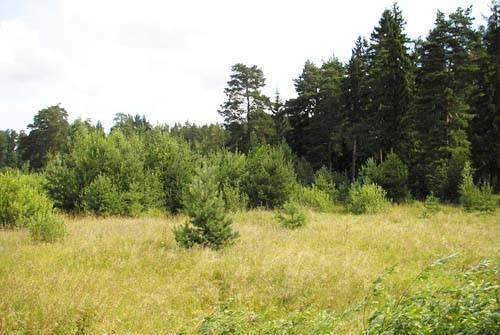 10 сот в СНТ Руть Наро-Фоминск