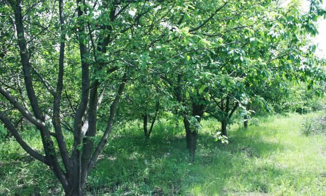 Участок Ростов-на-Дону