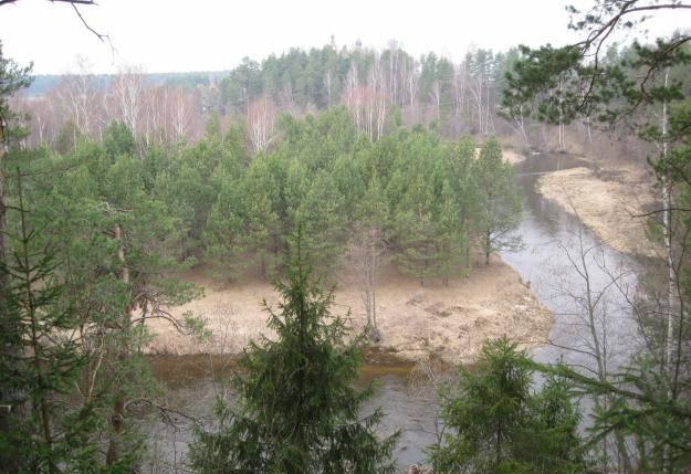 Участки у воды, сосновый бор, рыбалка, охота Москва