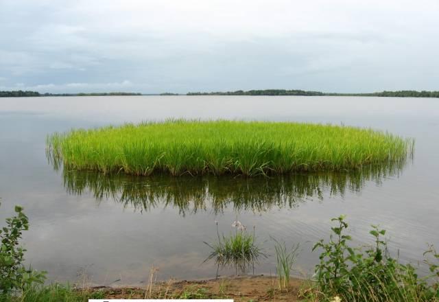 20 с.На Волге.Дмитр.ш.110 км.Газ.Вид на реку Москва