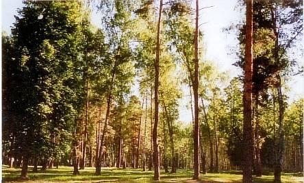 Участок в Серпуховском районе Серпухов