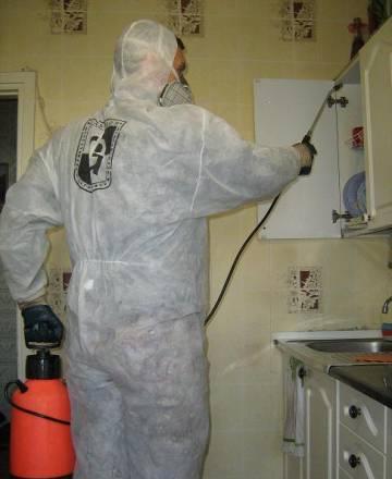 Тараканов, клопов,  насекомых, грызунов уничтожить Самара