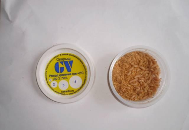 Продаю опарыша Волгоград