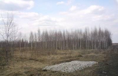 Участок в Тульской области Серпухов